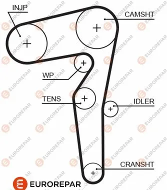 Timing Belt (1633142780)