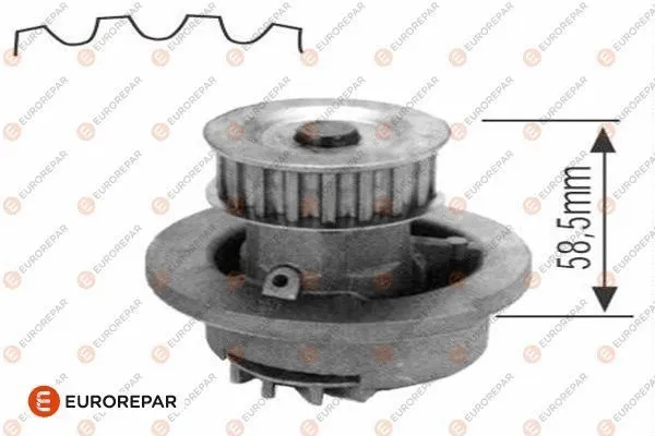 Water Pump, engine cooling (1623101380)