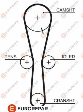 Timing Belt (1633136680)