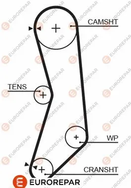 Timing Belt (1633130780)