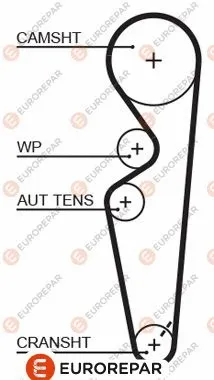 Timing Belt (1633132680)