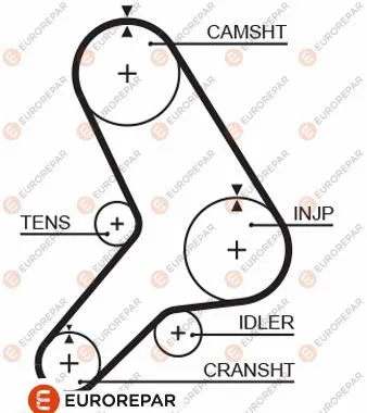 Timing Belt (1633140180)