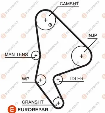 Timing Belt (1633126180)