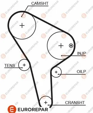 Timing Belt (1633137580)