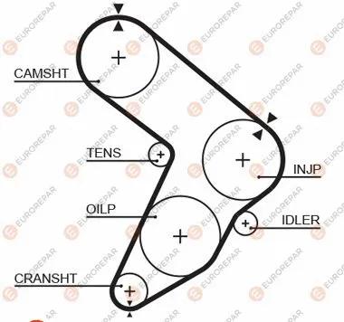 Timing Belt (1633137880)