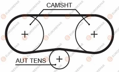 Timing Belt (1633141880)