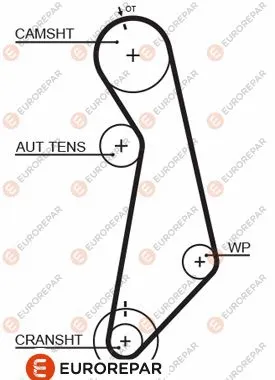 Timing Belt (1633129880)