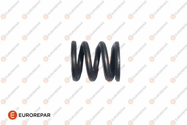 Spring, exhaust pipe (1607361580)