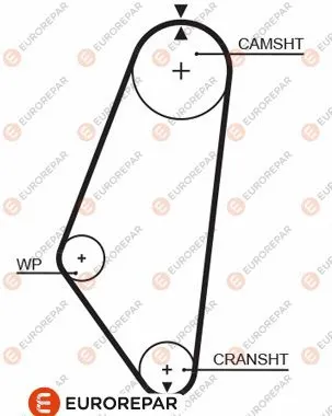 Timing Belt (1633136480)