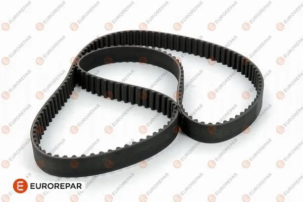 Timing Belt (E117126)