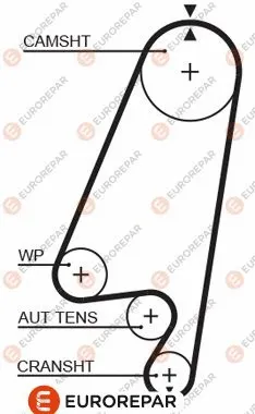 Timing Belt (1633131080)