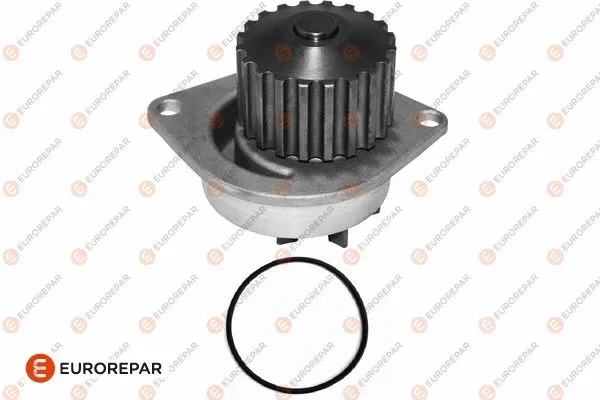 Water Pump, engine cooling (1623096180)