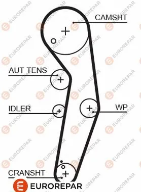 Timing Belt (1633129580)