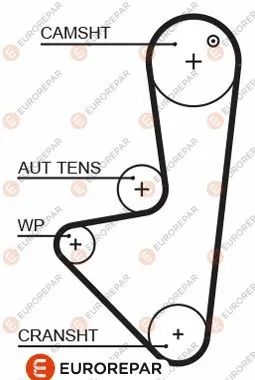 Timing Belt (1633126680)