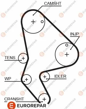 Timing Belt (1633128980)