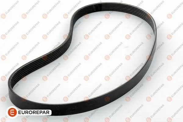 V-Ribbed Belt (1609325980)