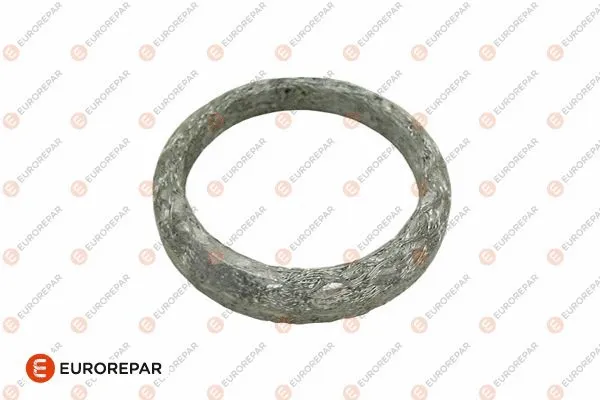 Gasket, exhaust pipe (1607359780)