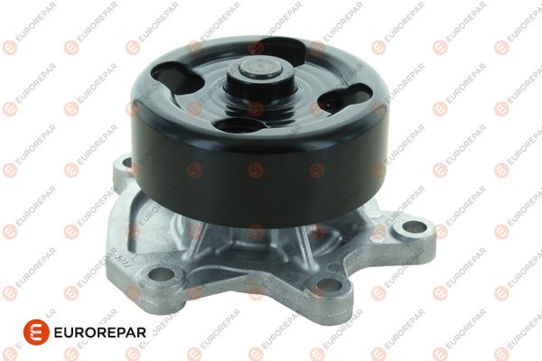 Water Pump, engine cooling (1690927780)