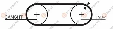 Timing Belt (1633135380)