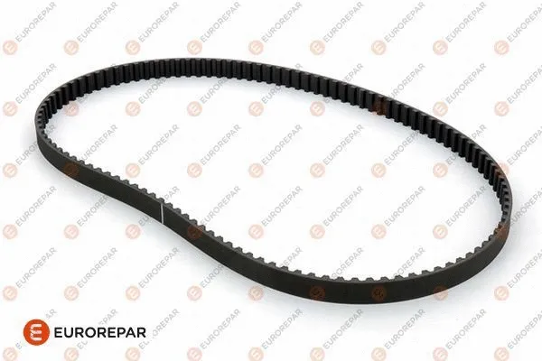 Timing Belt (1608490480)