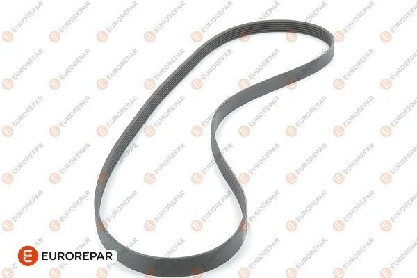 V-Ribbed Belt (1611129880)