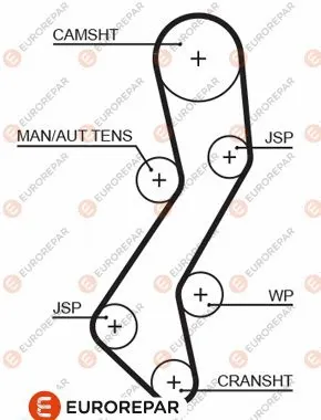 Timing Belt (1633136880)