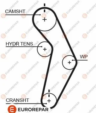 Timing Belt (1633141280)