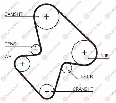 Timing Belt (1633128080)