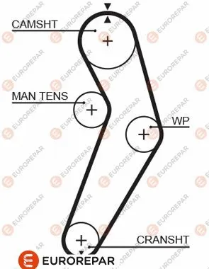 Timing Belt (1633135880)