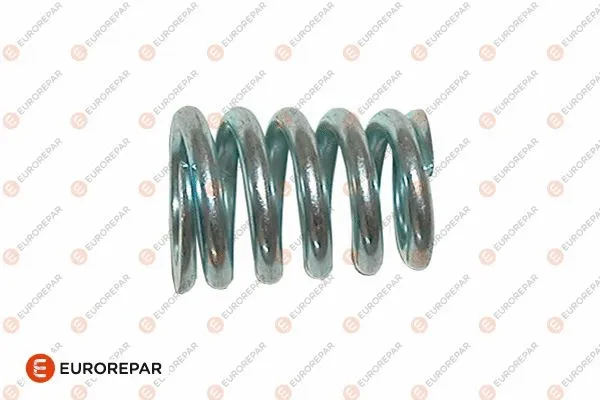 Spring, exhaust pipe (E128E68)