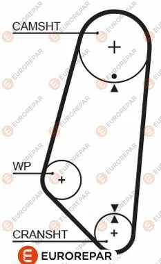 Timing Belt (1633140680)