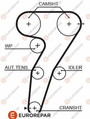 Timing Belt (1633134280)