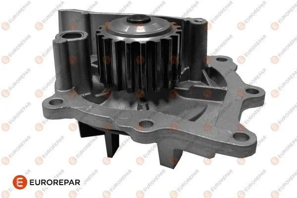 Water Pump, engine cooling (1623098780)