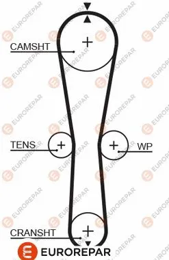 Timing Belt (1633135680)