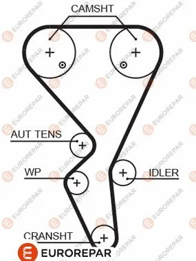 Timing Belt (1633126380)