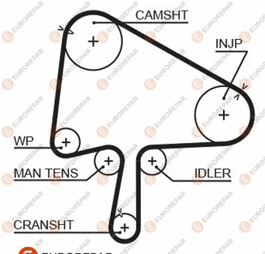 Timing Belt (1633141780)