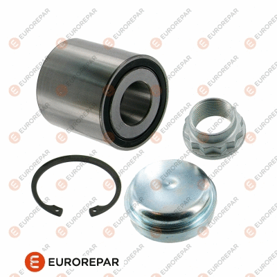 Wheel Bearing Kit (1681960180)