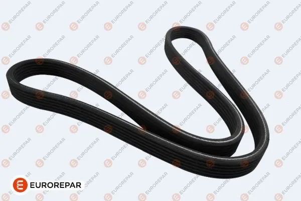 V-Ribbed Belt (1635043980)