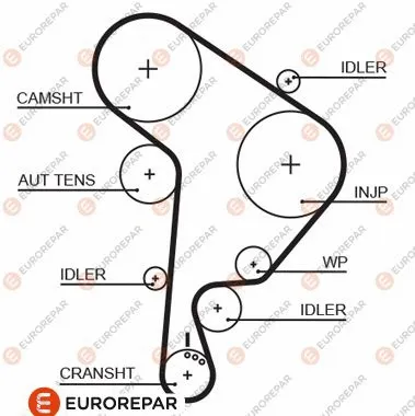 Timing Belt (1633129480)