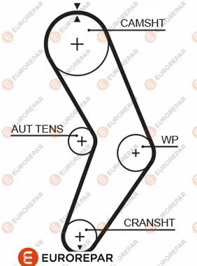 Timing Belt (1633143080)