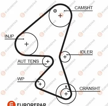 Timing Belt (1633127080)
