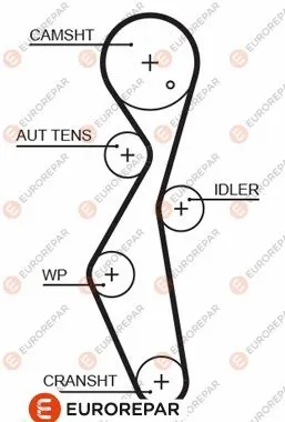 Timing Belt (1633127280)