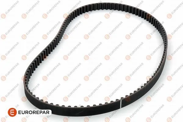 Timing Belt (1608489280)