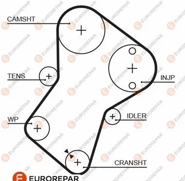 Timing Belt (1633127680)