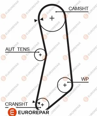 Timing Belt (1633130680)