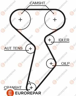 Timing Belt (1633132780)
