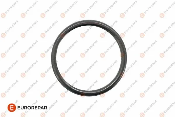 Gasket, exhaust pipe (E128B49)