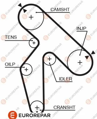 Timing Belt (1633138680)