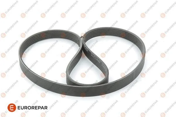 V-Ribbed Belt (1609317580)