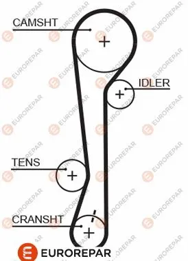 Timing Belt (1633133480)